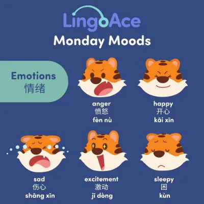 social2 e1668455207913 1